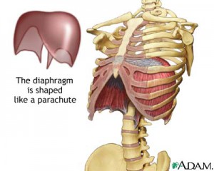 Practice diaphragm breathing